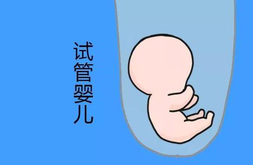 供卵代怀生男宝代生包成功生殖中心